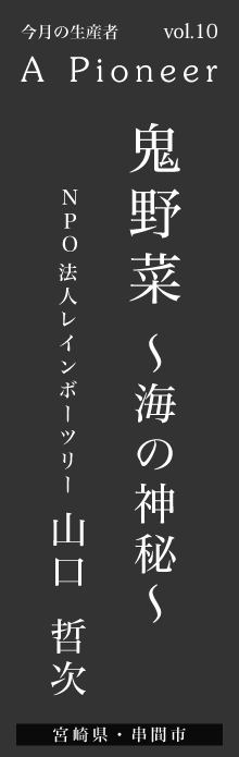 鬼野菜～海の神秘～ NPO法人レインボーツリー 山口哲次