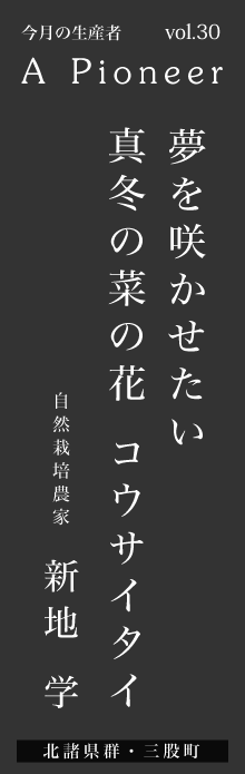 夢を咲かせたい　真冬の菜の花　コウサイタイ－新地学