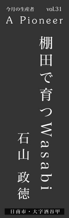 棚田で育つWasabiー石山政徳