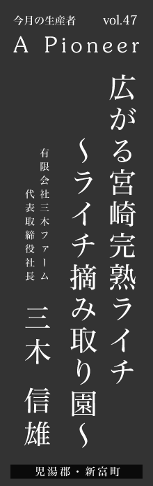 広がる宮崎完熟ライチ～ライチ摘み取り園～三木信雄