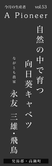 自然の中で育つ向日葵キャベツ－永友三雄・飛鳥