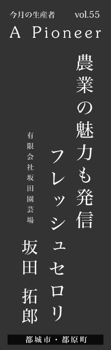 農業の魅力も発信、フレッシュセロリ－坂田拓郎