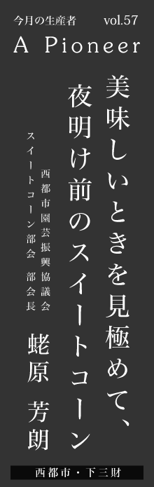 美味しいときを見極めて、 夜明け前のスイートコーン－蛯原芳朗