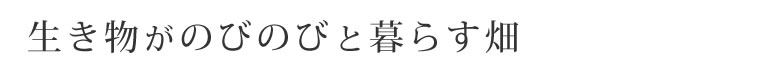 生き物がのびのびと暮らす畑