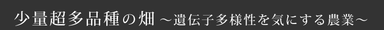 少量超多品種の畑～遺伝子多様性を気にする農業～