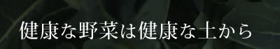 健康な野菜は健康な土から