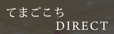 てまごこちDIRECT