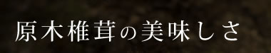 原木椎茸の美味しさ