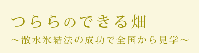 つららのできる畑〜散水氷結法の成功で全国から見学〜