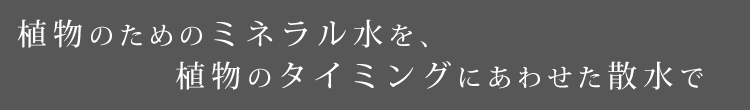 植物のためのミネラル水を、植物のタイミングにあわせた散水で