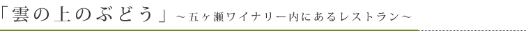 「雲の上のぶどう」〜五ヶ瀬ワイナリー内にあるレストラン〜