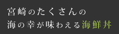 宮崎のたくさんの海の幸が味わえる海鮮丼