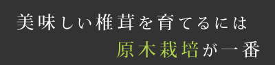 美味しい椎茸を育てるには原木栽培が一番