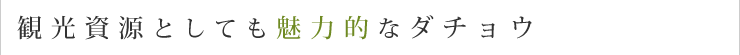 観光資源としても魅力的なダチョウ