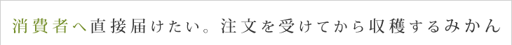 消費者へ直接届けたい。注文を受けてから収穫するみかん