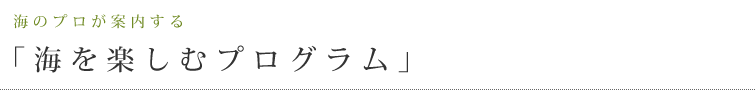 「海を楽しむプログラム」