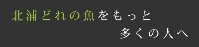 北浦どれの魚をもっと多くの人へ