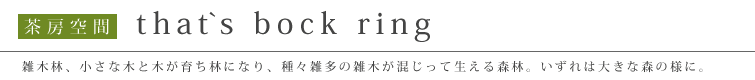 茶房空間「that`s bock ring」雑木林、小さな木と木が育ち林になり、種々雑多の雑木が混じって生える森林。いずれは大きな森の様に。