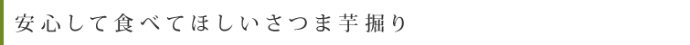 安心して食べてほしいさつま芋掘り