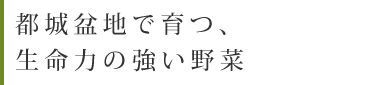 都城盆地で育つ、生命力の強い野菜