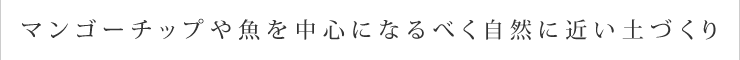 マンゴーチップや魚を中心になるべく自然に近い土づくり