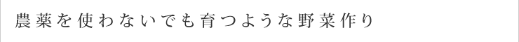 農薬を使わないでも育つような野菜作り
