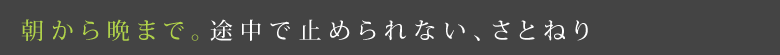 朝から晩まで。途中で止められない、さとねり