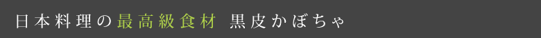日本料理の最高級食材 黒皮かぼちゃ