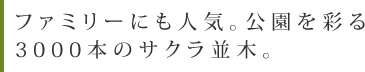 ファミリーにも人気。公園を彩る3000本のサクラ並木。