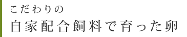 こだわりの自家配合飼料で育った卵