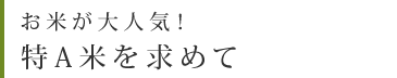 お米が大人気！特A米を求めて