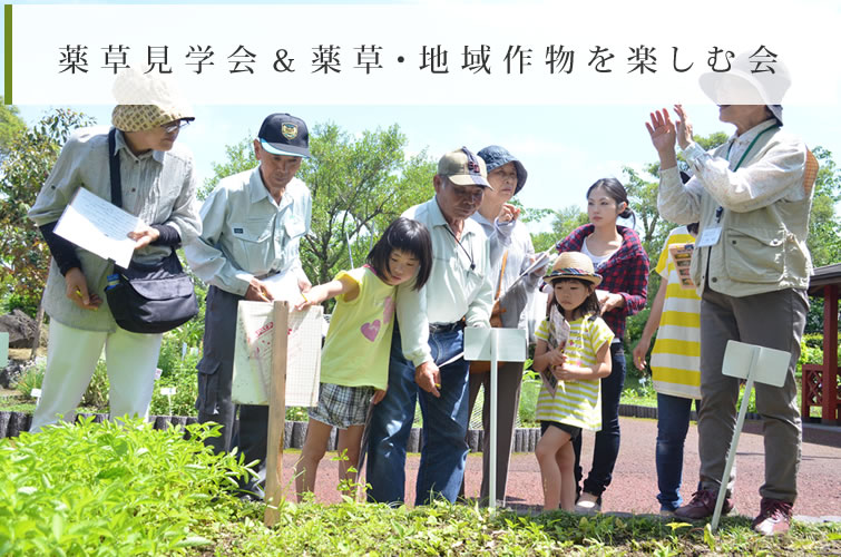 薬草見学会＆薬草・地域作物を楽しむ会