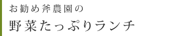 お勧め斧農園の野菜たっぷりランチ
