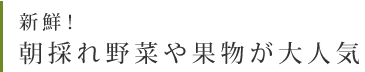 新鮮！朝採れ野菜や果物が大人気