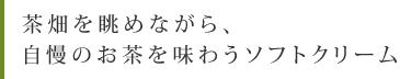 茶畑を眺めながら、自慢のお茶を味わうソフトクリーム