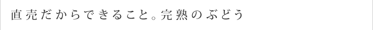 直売だからできること。完熟のぶどう