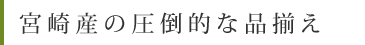 宮崎産の圧倒的な品揃え