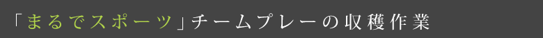 「まるでスポーツ」チームプレーの収穫作業