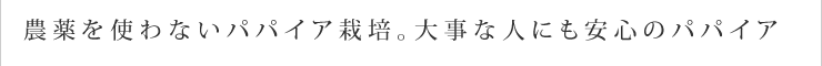 農薬を使わないパパイア栽培。大事な人にも安心のパパイア