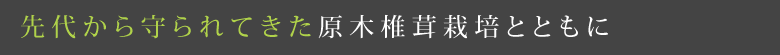 先代から守られてきた原木椎茸栽培とともに