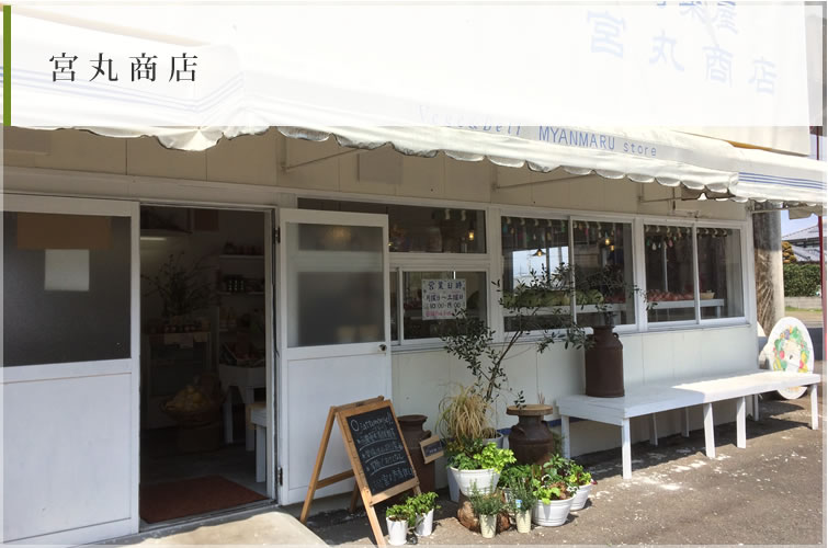 宮丸商店