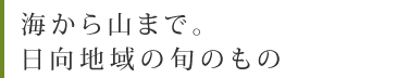 海から山まで。日向地域の旬のもの