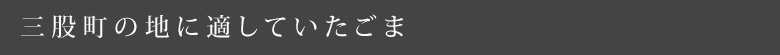 三股町の地に適していたごま