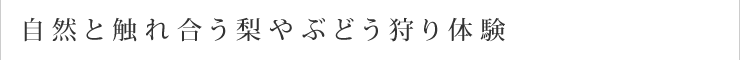 自然と触れ合う梨やぶどう狩り体験