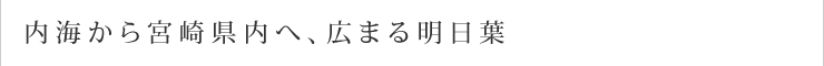 内海から宮崎県内へ、広まる明日葉