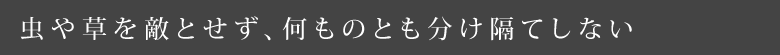 虫や草を敵とせず、何ものとも分け隔てしない