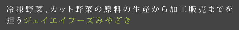 冷凍野菜、カット野菜の原料の生産から加工販売までを担うジェイエイフーズみやざき