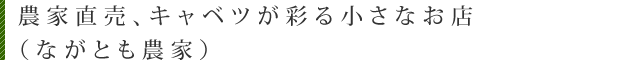 農家直売、キャベツが彩る小さなお店（ながとも農家）