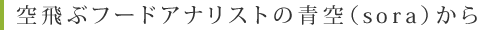 空飛ぶフードアナリストの青空(sora)から