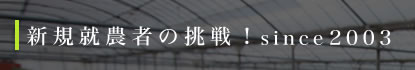 新規就農者の挑戦！since2003